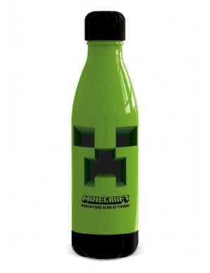Minecraft Bouteille Daily PP - 660ml