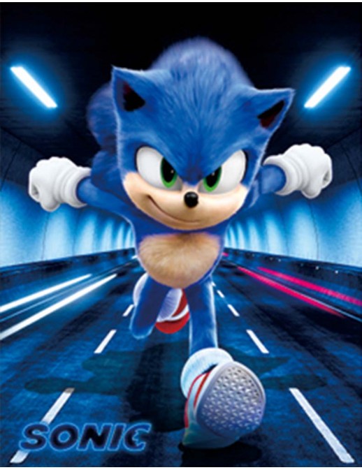 Sonic the Hedgehog poster with light-up function, 29.90 CHF