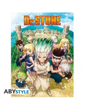 Poster - À plat - Dr. Stone...