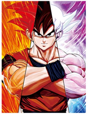Animation Dragon Ball Affiche lenticulaire 3D...